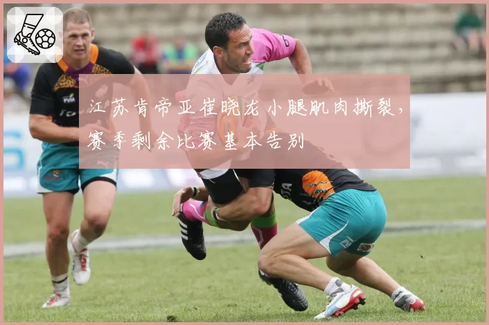 江苏肯帝亚崔晓龙小腿肌肉撕裂,赛季剩余比赛基本告别