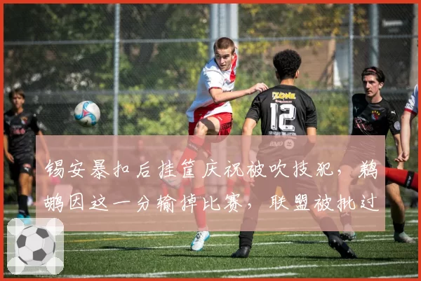锡安暴扣后挂筐庆祝被吹技犯，鹈鹕因这一分输掉比赛，联盟被批过于严苛