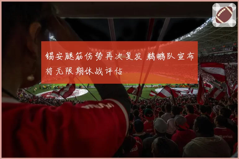 锡安腿筋伤势再次复发 鹈鹕队宣布将无限期休战评估