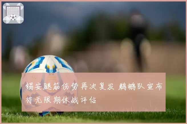 锡安腿筋伤势再次复发 鹈鹕队宣布将无限期休战评估